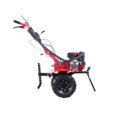 Мотоблок TT-ZX100-1 (редуктор), колесо 4,00×8 двигатель 170F (7 л.с.) (с верхним фильтром) — бензин