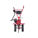 Мотоблок TT-ZX100-1 (редуктор), колесо 4,00×8 двигатель 170F (7 л.с.) (с верхним фильтром) — бензин