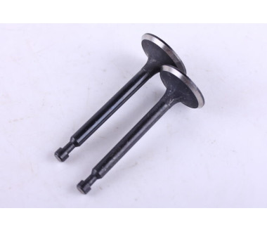 Клапани, к-т: 2 шт. - 168F - Premium