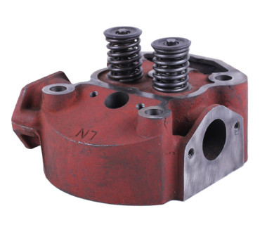 Головка цилиндра в сборе TT AGRO MOTO 195N (на мототрактор)