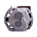 Головка цилиндра в сборе TT AGRO MOTO 195N (на мототрактор)