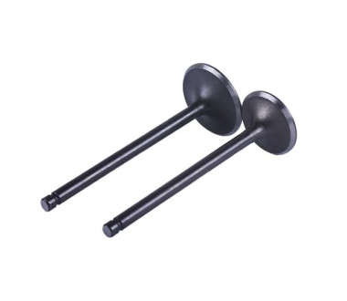 Клапана к-кт 2 шт. CB-250/300СС