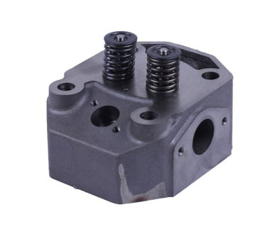 Головка цилиндра в сборе (ZUBR original) - 195N YBX