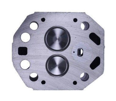 Головка цилиндра в сборе (ZUBR original) - 195N YBX