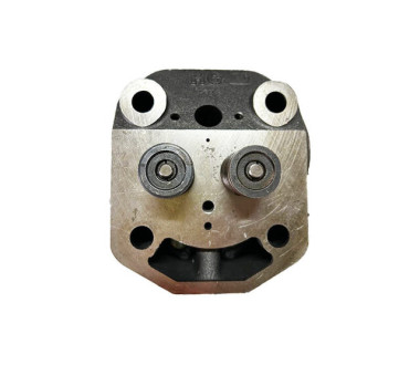 Головка циліндра у зборі ZUBR (тип 2) (на мототрактор під форсунку діаметр 21 мм) - 195N