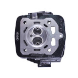 Головка циліндра CG300