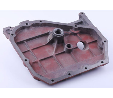 Кришка блоку двигуна (ZUBR original) - 195N YBX