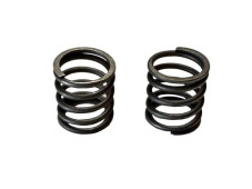 Пружини клапанів 156F