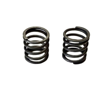 Пружини клапанів 156F