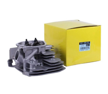 Головка блоку в зборі - 188F YBX