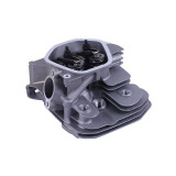 Головка блоку в зборі - 188F YBX