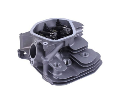 Головка блоку в зборі - 188F YBX