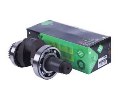 Колінвал у зборі + підшипники 2 шт. + шестерня - 190N - TTG