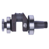 Колінвал у зборі + підшипники 2 шт. + шестерня - 190N - TTG