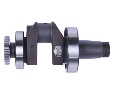 Колінвал у зборі + підшипники 2 шт. + шестерня - 190N - TTG