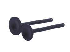 Клапани, к-т 2 шт. - Актив/Дельта/Альфа YBX