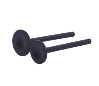 Клапани, к-т 2 шт. - Актив/Дельта/Альфа YBX