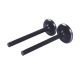 Клапани, к-т 2 шт. - Актив/Дельта/Альфа YBX