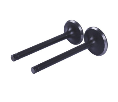 Клапани, к-т 2 шт. - Актив/Дельта/Альфа YBX