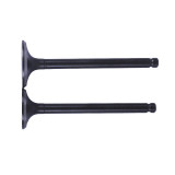 Клапани, к-т 2 шт. - Актив/Дельта/Альфа YBX