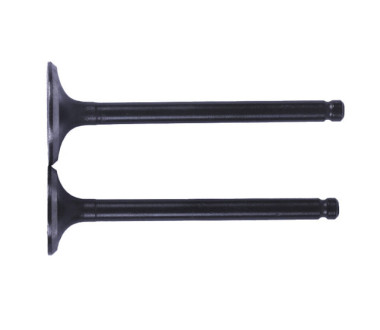 Клапани, к-т 2 шт. - Актив/Дельта/Альфа YBX