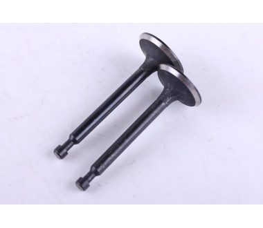 Клапани, к-т: 2 шт. - 168F - Premium