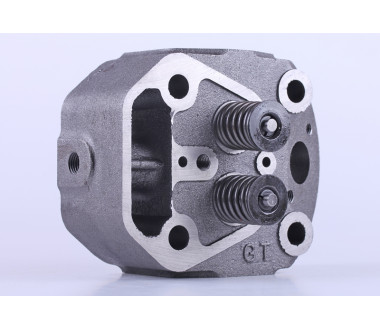 Головка циліндра у зборі - 180N - Premium