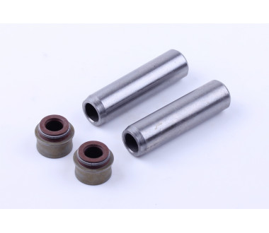 Напрямні клапанів + сальники, к-т на 2 клапани - 178F