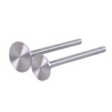 Клапаны, к-т: 2 шт. - 190N Y-BOX