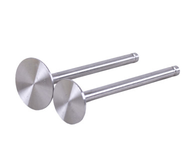 Клапаны, к-т: 2 шт. - 190N Y-BOX