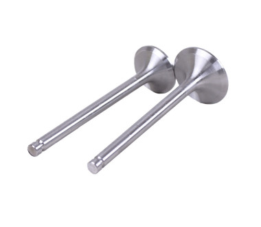 Клапаны, к-т: 2 шт. - 190N Y-BOX