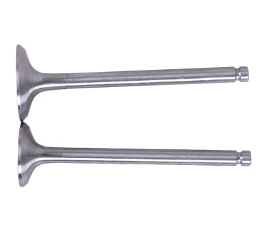 Клапаны, к-т: 2 шт. - 190N Y-BOX