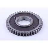 Шестерня розподільна колінвала Z-42 - 195N