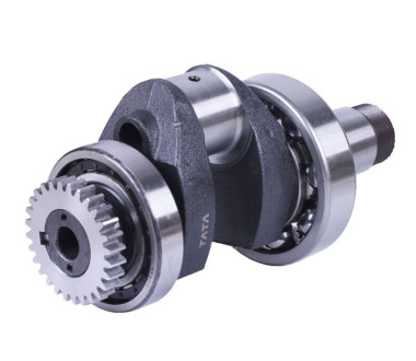 Колінвал у зборі + шестерня - ZUBR original - 195N