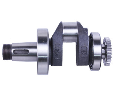 Колінвал у зборі + шестерня - ZUBR original - 195N