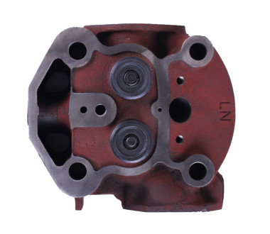 Головка циліндра (на мототрактор) – 195N