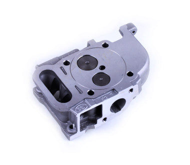 Головка блоку у зборі - 170D