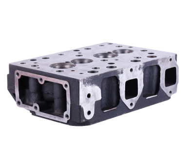 Головка блоку циліндрів TY295