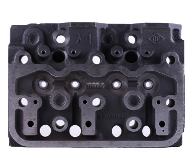 Головка блоку циліндрів TY295