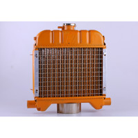 Радиатор DL190-12 Xingtai 120