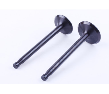 Клапани, к-т: 2 шт. - ZS/ZH1100