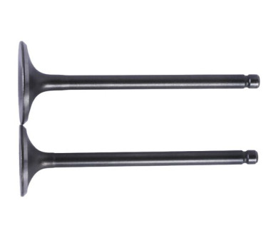 Клапани TTG на бензиновий двигун 165FMJ-172FMM, CB-250CC, к-т: 2 шт.