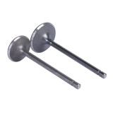 Клапаны TTG на бензиновый двигатель 166FMM/СG250