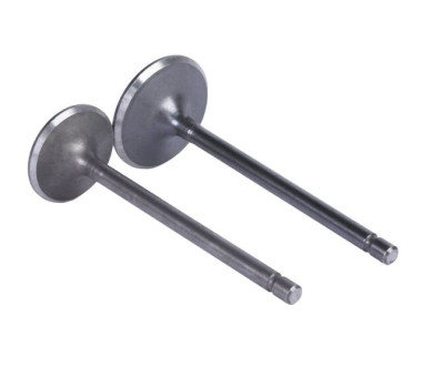 Клапаны TTG на бензиновый двигатель 166FMM/СG250