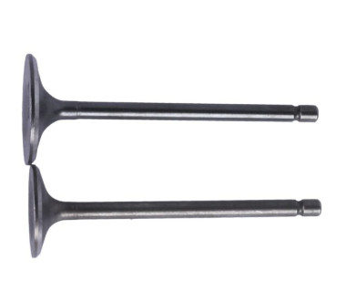 Клапаны TTG на бензиновый двигатель 166FMM/СG250