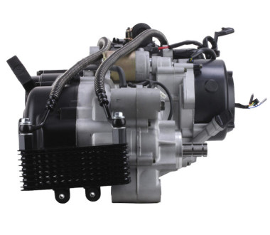 Двигун (у зборі) ATV 180CC 1+1 (олійне охолодження) на квадроцикл