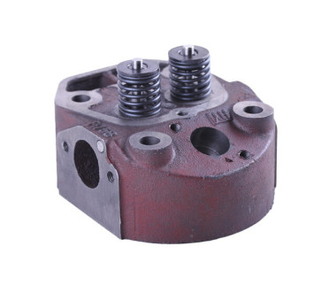 Головка циліндра в зборі (нового зразка) – 175N YBX