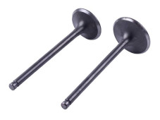 Клапани, к-т: 2 шт. - ZUBR YBX