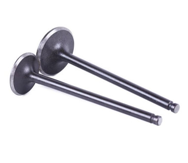 Клапаны TT AGRO MOTO на бензиновый двигатель CB-125, к-т: 2 шт., тип 2