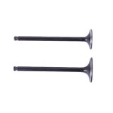 Клапаны TT AGRO MOTO на бензиновый двигатель CB-125, к-т: 2 шт., тип 2